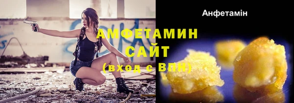 шишки Тайга