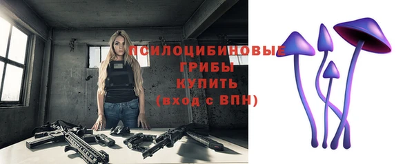 сатива Шадринск
