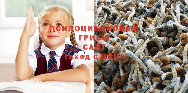 эйфоретик Тобольск