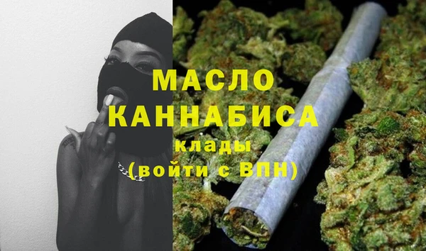 дживик Няндома