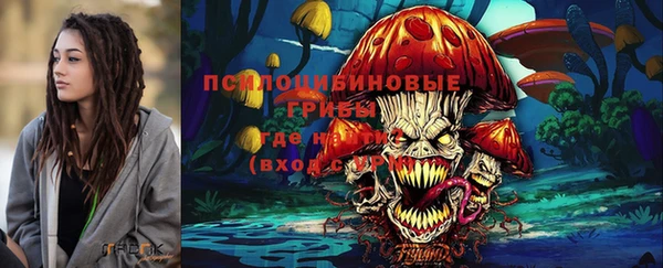 не бодяженный Новозыбков