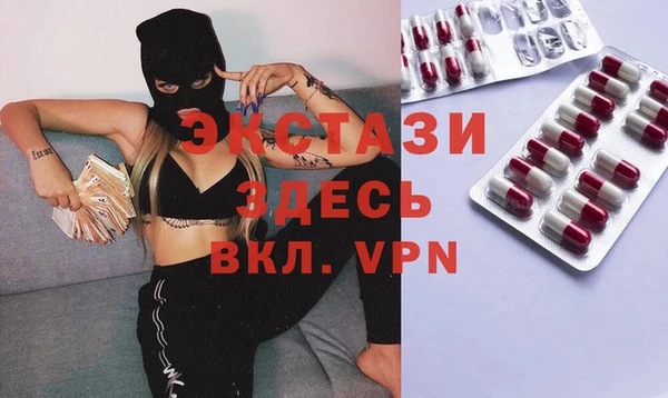 дживик Няндома