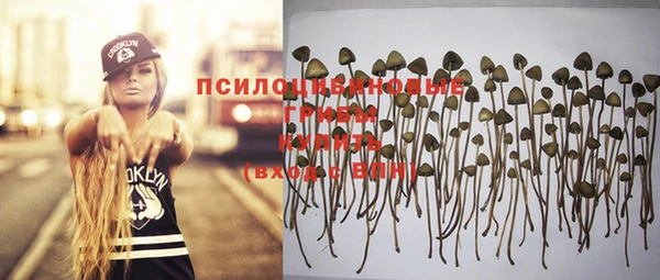 ПСИЛОЦИБИНОВЫЕ ГРИБЫ Сясьстрой