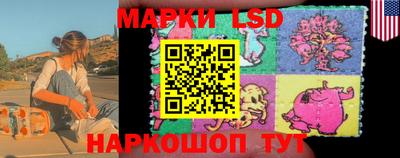 бошки Гатчина