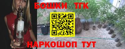 бошки Гатчина
