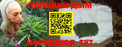 крисы Гай