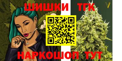 бошки Гатчина