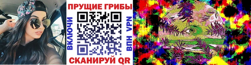 Псилоцибиновые грибы мицелий  MEGA ссылки  Моздок 