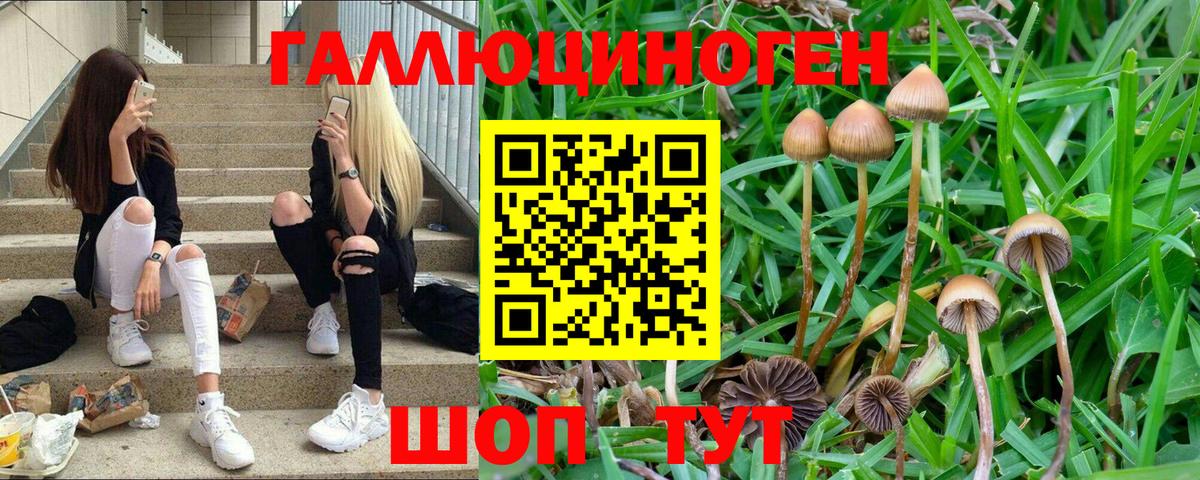 Галлюциногенные грибы мухоморы  магазин продажи   Моздок  Вход с VPN  Псилоцибиновые грибы мухоморы 
